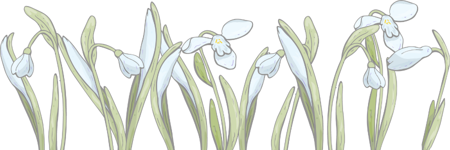 Image shows snowdrops