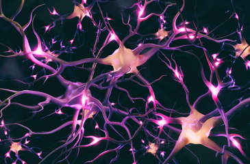 Image shows neurons firing.