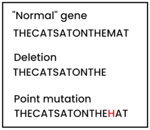 Diagram explaining deletion and point mutation.