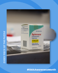 Spinraza jigsaw piece